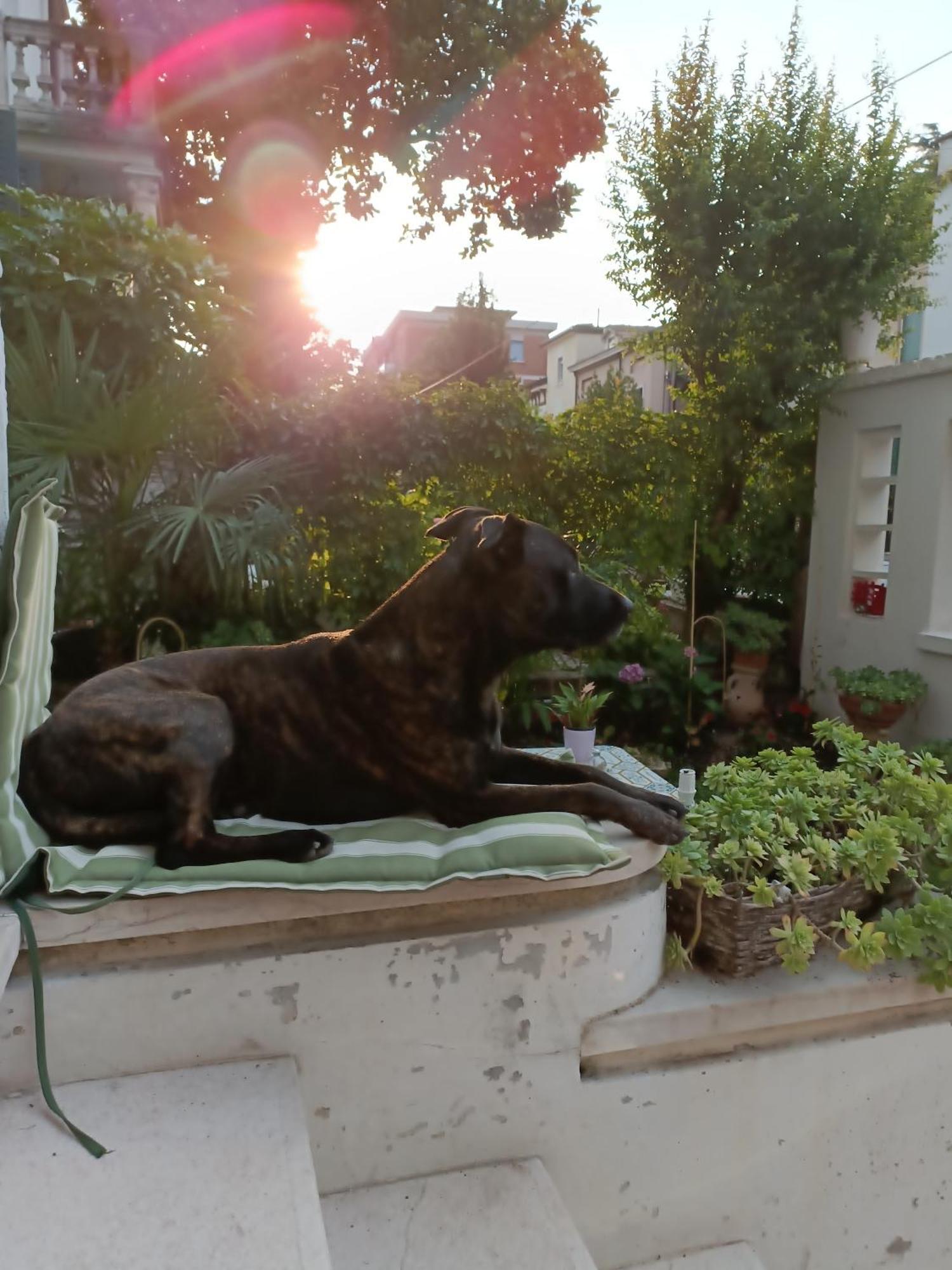 B&B Mavipagi Verona Værelse billede