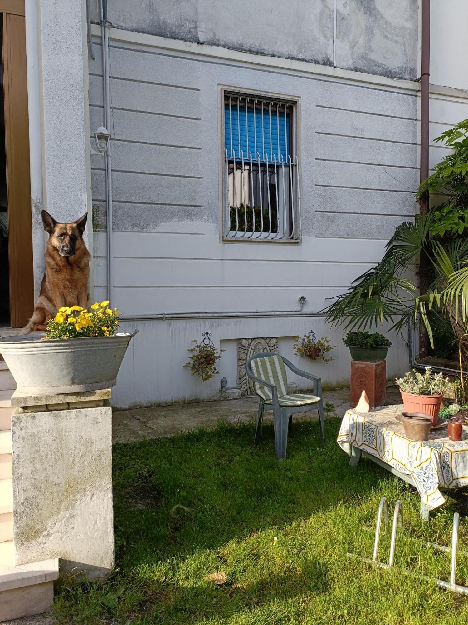 B&B Mavipagi Verona Eksteriør billede